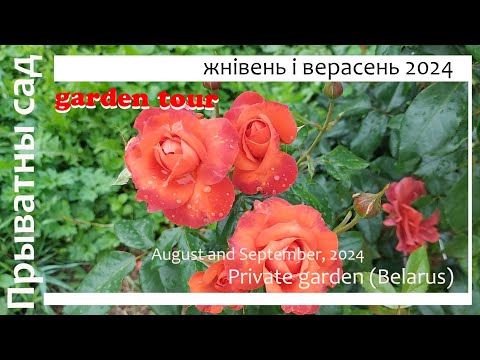 Видео: Вандроўка ў прыватны сад руж / Private garden tour. Belarus (SUB)