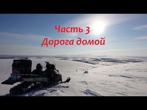 Видео: На что способен Утиль ??? Или прокладка рулит? Skandic WT в деле.Часть 3