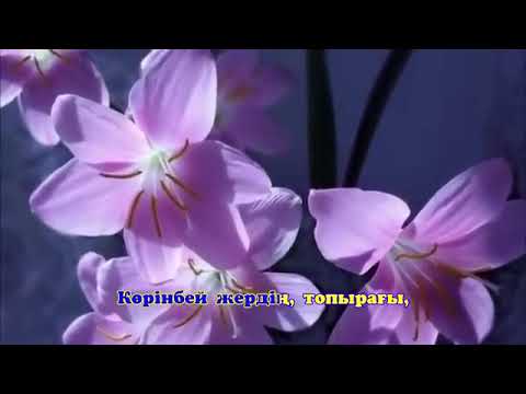 Видео: Желсіз түнде жарық - ай Караоке (минус)