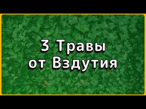Видео: Эти 3 травы творят чудеса с кишечником после 60 лет!  Почему врачи молчат