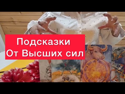 Видео: Срочно к просмотру‼️Подсказки от  высших сил‼️