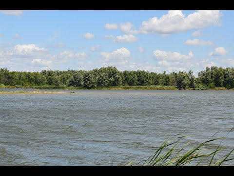 Видео: Hiking Don River Area Birdwatching  Окрестности реки Дон Наблюдение за птицами