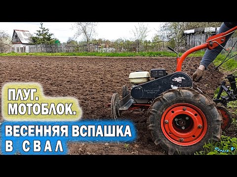 Видео: Вспашка плугом весенняя в свал. Мотоблок Агат с задачей справился. 2022