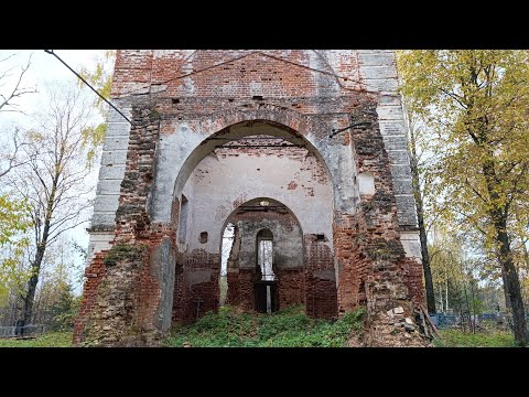 Видео: Заброшенная деревня в Вологодской области 1 часть.