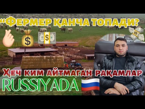 Видео: “Фермер қанча пул топади? Ҳақиқий даромад ҳақида!#чорвачилик#чорвачилик#ферма#фермерлик#бизнес