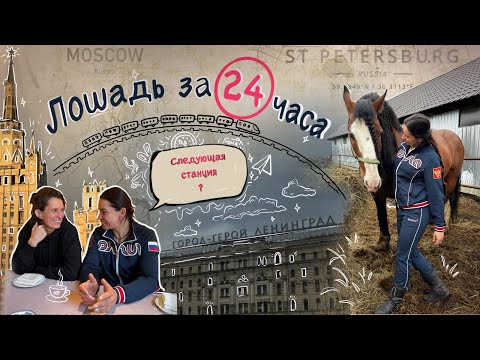 Видео: ВЛАДИМИРСКИЙ ТЯЖЕЛОВОЗ ИЛИ КАК КУПИТЬ ЛОШАДЬ ЗА 24 ЧАСА