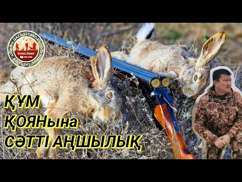 Видео: ▶️ Маңғыстау | Қияқты | , қоянға аңшылық маусым ашылды