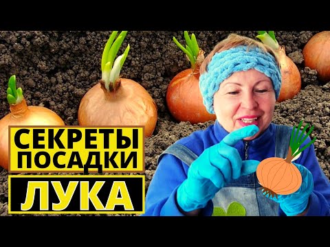 Видео: Такой способ посадки ЛУКА никогда не подводил