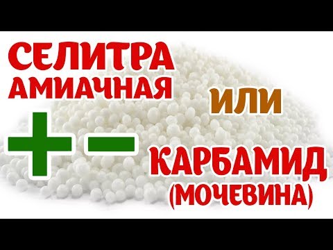 Видео: Удобрения. Селитра vs Карбамид (мочевина). Плюсы и минусы каждого.