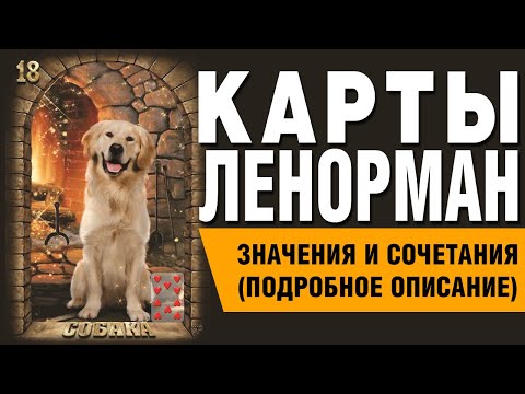 Видео: Карты Ленорман. Карта Собака (18). Значения и сочетания карт.