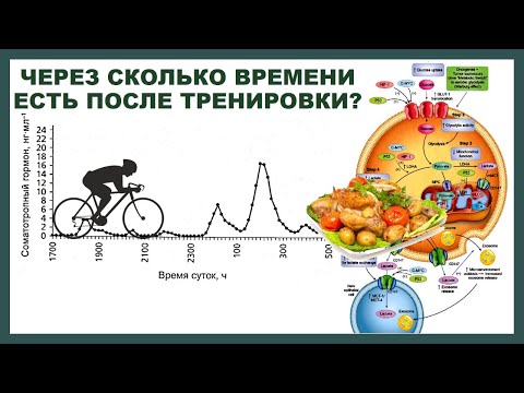 Видео: лекция: ЧЕРЕЗ СКОЛЬКО ВРЕМЕНИ МОЖНО ЕСТЬ ПОСЛЕ ТРЕНИРОВКИ?