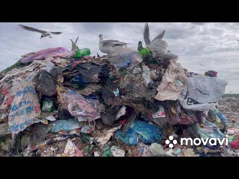 Видео: Минская свалка деньги из мусора. Витёк мусорщик