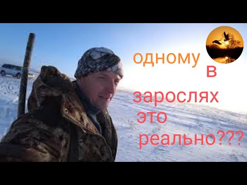 Видео: ОХОТА НА ЗАЙЦА. РЕКОМЕНДУЮ ПОСМОТРЕТЬ