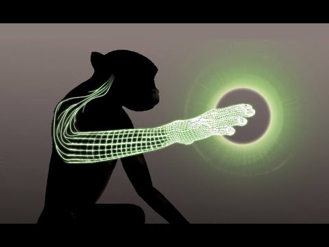 Видео: Что такое цигун? Как работает цигун?