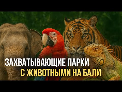 Видео: Захватывающие парки с животными на Бали. Опасные вараны, тигры, кобры и кормление лемуров