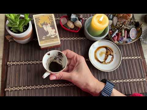 Видео: Чашка дня‼️