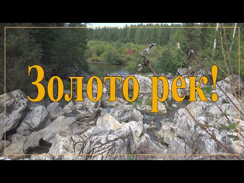 Видео: Золото рек