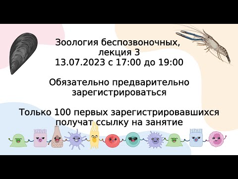 Видео: Продолжение систематики беспозвоночных. Лекция 3