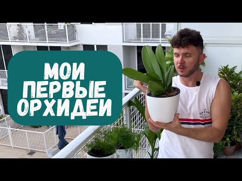 Видео: ПЕРЕСАДКА первых ОРХИДЕЙ