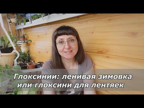 Видео: Глоксинии - ленивая зимовка