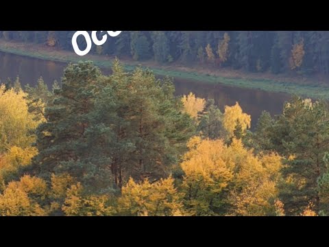 Видео: Осень золотая . Гора Витаутаса .#бирштонас #литва #нерис #горавитаутаса #осеньзолотая
