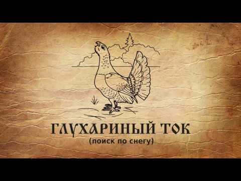 Видео: Глухариный ток (поиск по снегу)