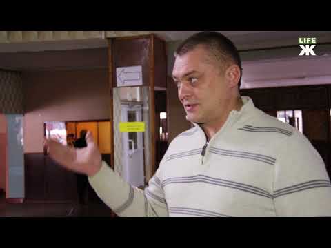 Видео: Керівництво Житомирського колегіуму не знає, що робити з безпритульними собаками