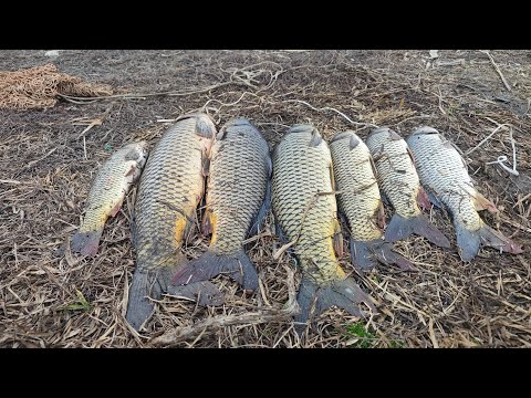 Видео: Рыбалка и Отдых в январе средний канал