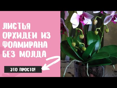 Видео: Листья орхидеи из фоамирана без молда.Foamiran orchid leaves