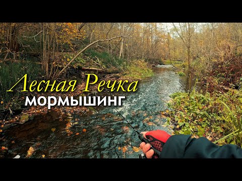 Видео: ОХОТА на РЕДКУЮ РЫБУ: рыбалка на Живописной лесной речке #мормышинг #nanojig #рыбалка #fishing