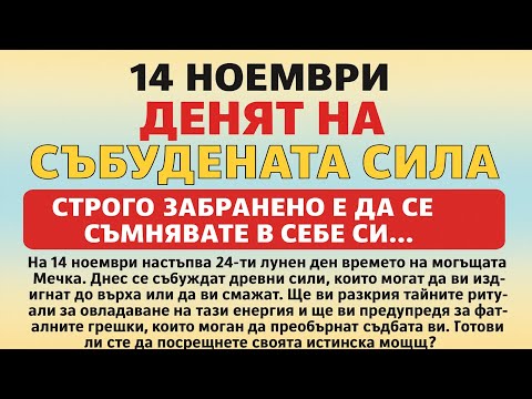 Видео: Лунен календар за 14 ноември 2025: Денят на Мечката. Събудете силата си!