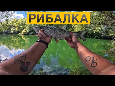 Видео: 🎣 РИБАЛКА НА СПІННІНГ | РІЧКА РАЙН КОРДОН ФРАНЦІЯ🇫🇷НІМЕЧЧИНА🇩🇪