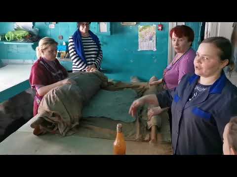 Видео: Экскурсия на производство валенок в Солигаличе