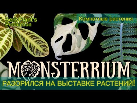 Видео: РАЗОРИЛСЯ НА ВЫСТАВКЕ РАСТЕНИЙ! Монстериум 2025 - Алоказия, Каладиум, Криптантус и Мухомор!
