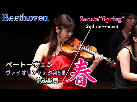 Видео: Бетховен – «Весенняя соната», II часть