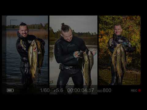 Видео: моя подводная охота осенью в Эстонии