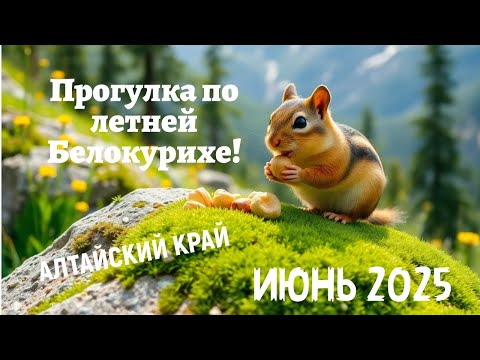 Видео: 4К Прогулка по летней Белокурихе! Июнь 2025