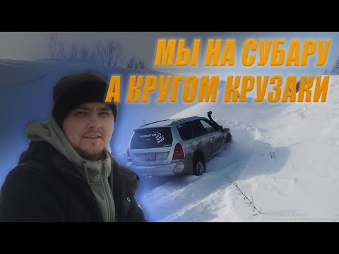 Видео: Штурмуем снежный склон на SUBARU FORESTER