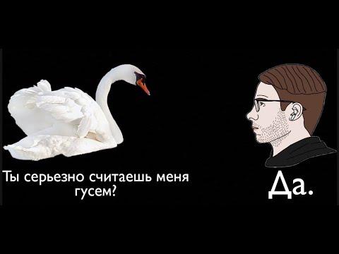 Видео: Стрим в воскресенье с Алексеем Шевцовым