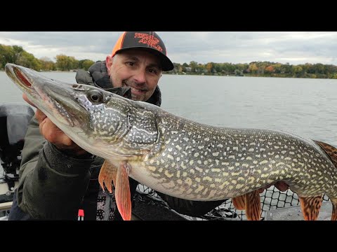 Видео: Осенняя рыбалка на щуку на БОЛЬШОМ ОЗЕРЕ! - (Длинный формат)
