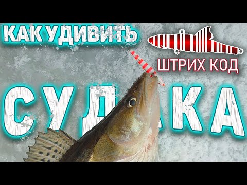 Видео: СУДАКА РАЗДРАЖАЕТ ЭТА РАСЦВЕТКА. ЛОВЛЯ СУДАКА НА РАТЛИНЫ