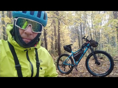 Видео: Осень,лес.