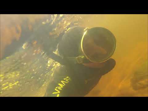 Видео: Подводная охота на Паше