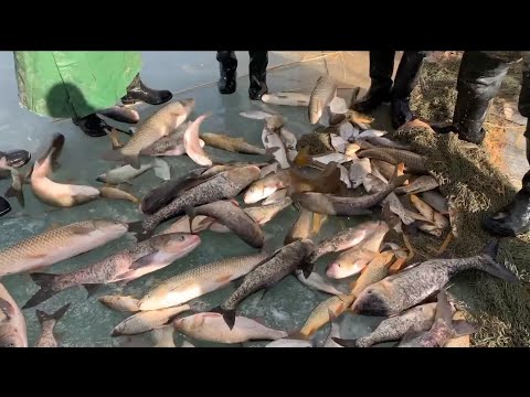 Видео: Балык аулау Каракалпакыстан