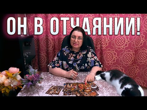 Видео: ОН В ОТЧАЯНИИ! КАК ЕМУ ЖИВЕТСЯ БЕЗ ВАС?
