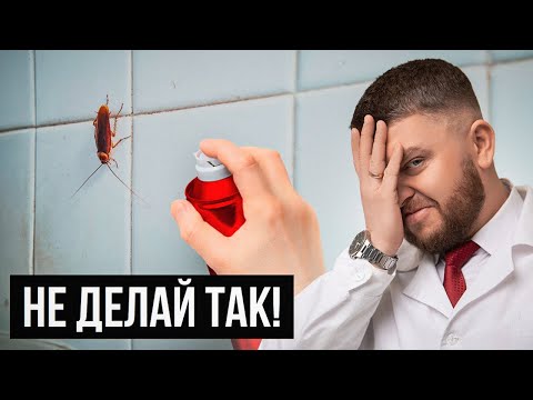 Видео: ДИХЛОФОС НЕ ПОМОЖЕТ! Как НА САМОМ ДЕЛЕ избавиться от тараканов в квартире?