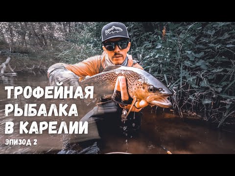 Видео: ТРОФЕЙНАЯ РЫБАЛКА В КАРЕЛИИ. Огромная форель на спиннинг на лесной речке. Лучший воблер на форель!