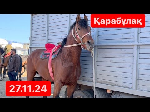 Видео: Жылқы бағасы 1-бөлім. Қарабұлақ мал базары
