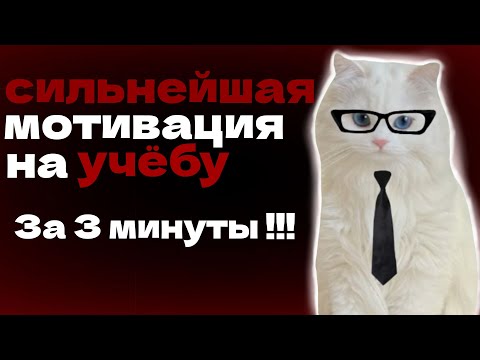 Видео: Ты захочешь учиться|Мотивация на учёбу 📈