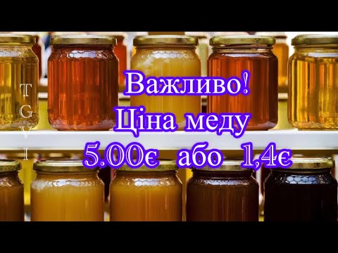 Видео: Бажаєш продавати мед за 5 євро? 